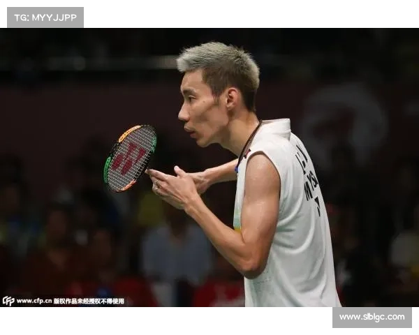 2015年羽毛球世锦赛精彩回顾之男单决赛 谌龙VS李宗伟